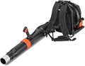 Fuxtec Laubbläser FX-LBP185TPRO