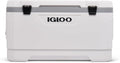 Igloo Elektrische Kühlbox, 94 L, Weiß