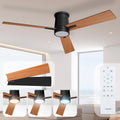 Noaton Deckenventilator, Fernbedienung, Schwarz