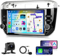Motorsi Autoradio, WLAN