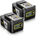 C DSANKE C Akku 2PACK, 2,7 Ah, 36 V