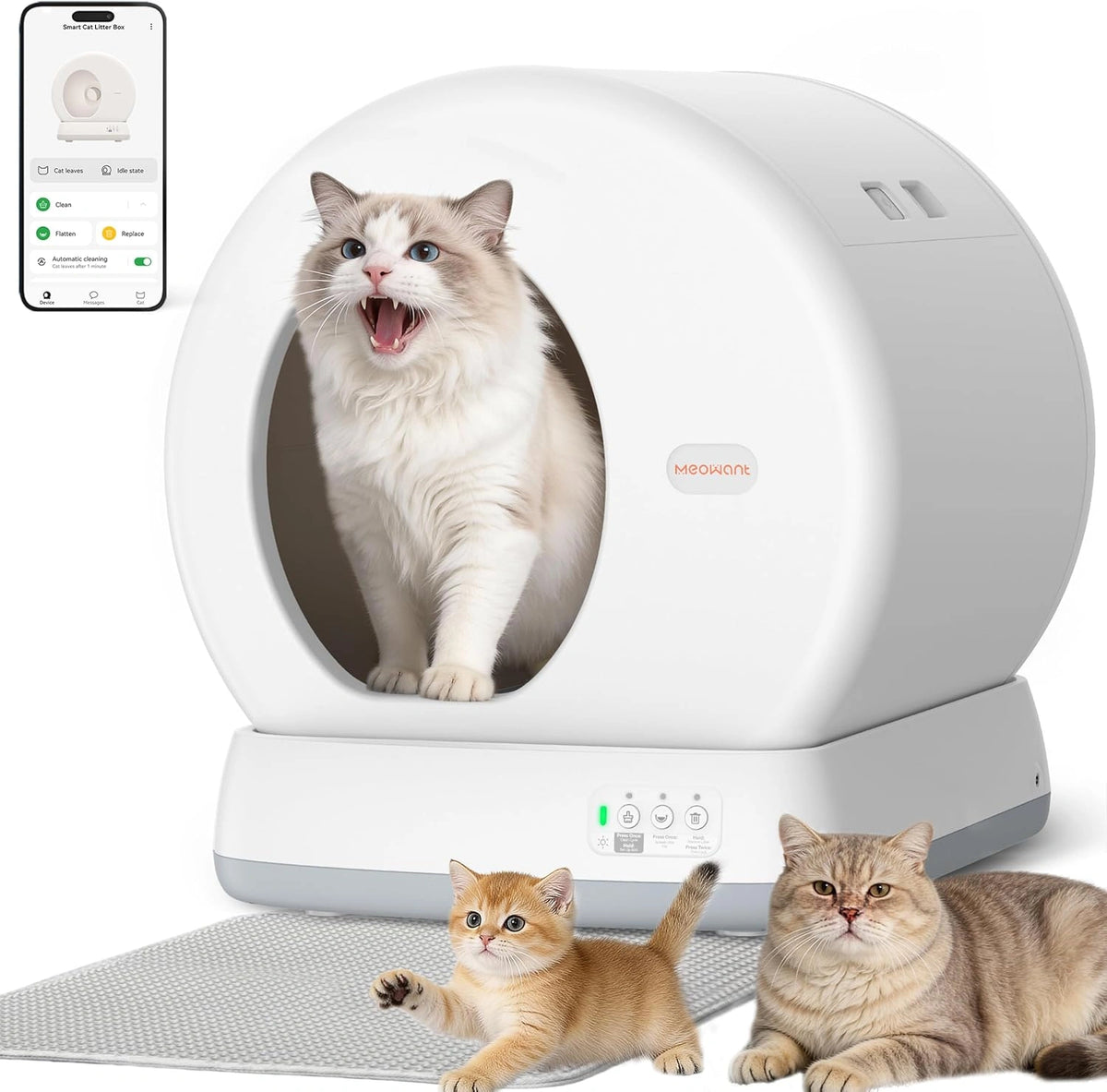 Meowant Gerät